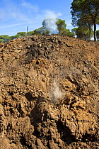 Smoke rising from charcoal mound, Cartaya, Andalucia, Spain, April 2009