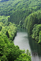 View from the Esch-Sur-Sre dam of the River Sauer flowing through a forest, Oesling, Ardennes, Luxembourg, May 2009