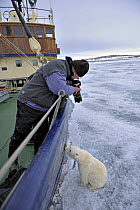 Polar bear (Ursus maritimus) standing up against tourist ship, while tourist leans over the edge taking photographs, Svalbard, Norway, June 2009