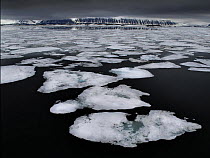 Broken up ice floating on sea, Svalbard, Norway, June 2009