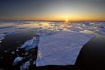 Broken pack ice floating on sea with sun low over horizon, Svalbard, Norway, August 2007