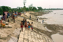 A sea wall being built to protect fishing village from floods, in response to rising sea levels due to climate change, Sundarbans, Bangladesh, June 2008