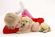 Girl cuddling Yellow Labrador Retriever puppy, 7 weeks. Model released