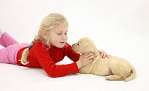 Girl cuddling Yellow Labrador Retriever puppy, 7 weeks. Model released