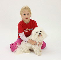 Girl with Bichon Frisé bitch, Pippa, model released