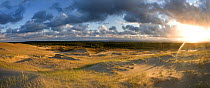 Sand dunes in evening light, Nagliai Nature Reserve, Curonian Spit, Lithuania, June 2009