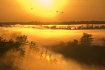Mist over the Kasari river at sunrise, Kloostri, Matsalu National Park, Estonia, May 2009
