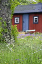 Holiday house, Rdlga island, Stockholm Archipelago, Sweden, June 2009