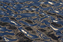 Reflections on sea surface, Lngviksskr, Stockholm Archipelago, Sweden, June 2009