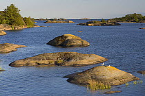 View of Lngviksskr from Sder island, Stockholm Archipelago, Sweden, June 2009