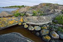 Rocky coastal landscape, Lngviksskr, Stockholm Archipelago, Sweden, June 2009