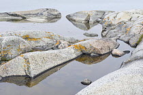 Coastal rocks with reflections in sea, Kallskr, Stockholm Archipelago, Sweden, June 2009