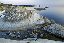 Coastal landscape, Kallskr, Stockholm Archipelago, Sweden, June 2009