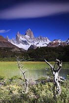 Cerro Fitz Roy, seen across reed-filled lake, Los Glaciares National Park, Argentina February 2009