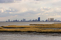 Edwin B. Forsythe National Wildlife Refuge with Atlantic City on the horizon and saltmarshes in the foreground, New Jersey, USA