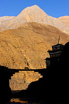 Silhouette of mastiff dog crossing a bridge with Himalayas in the background, Upper Dolpo, Nepal