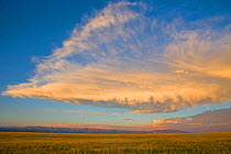 Table Mountain at sunset, near Dubois, Wyoming, USA, July 2008