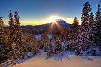 Sunset over Brooks Mountain in the Shoshone National Forest, Wyoming, USA, December 2008