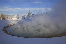 Steam rising from Blue Funnel Spring, West Thumb Geyser Basin, Yellowstone National Park, Wyoming, USA, January 2008
