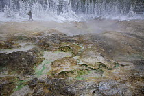 Steve Fuller photographing in the West Nymph Lake Creek Geyser area, Yellowstone National Park, Wyoming, USA, October 2008