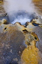 Thermal hot springs along the Firehold River, Upper Geyser Basin, Yellowstone National Park, Wyoming, USA, October 2008