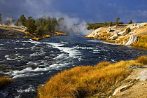 Steam rising from Firehole River in Upper Geyser Basin, Yellowstone National Park, Wyoming, USA, October 2008