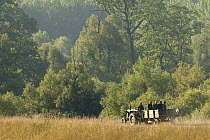Wood loggers and forestry workers travelling into  forest in cart pulled by tractor, Gornje Podunavlje Special Nature Reserve, Serbia, June 2009