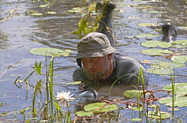 Photographer, Ruben Smit, in water, Gornje Podunavlje Special Nature Reserve, Serbia, June 2009