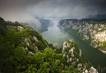 Low clouds over the River Danube flowing through the Iron Gate Gorge, Djerdap National Park, Serbia, June 2009 WWE BOOK PLATE.