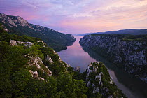 River Danube flowing through the Iron Gate Gorge, on the border between Romania and Serbia, Djerdap National Park, Serbia, June 2009