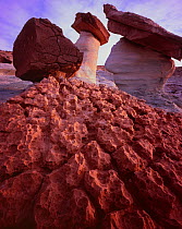 Hoodoo with rock cap on textured Dakota stone and softer Entrada sandstone, sunset, Glen Canyon National Recreation Area, Arizona, USA