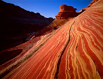 Bands of red and yellow strata in petrified sand dunes, sunset, Paria Canyon-Vermilion Cliffs Wilderness, Arizona, USA