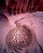 Paria Canyon's walls with mud patterns indicating former river channel, Navajo sandstone, Vermilion Cliffs National Monument, Arizona, USA