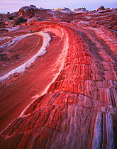 Striated sandstone eroded in circular pattern, dawn, Vermilion Cliffs National Monument, Arizona, USA