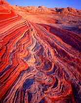 Eroded sandstone (petrified sand dunes) in banded striated patterns at sunset, Colorado Plateau, Arizona, USA