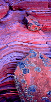 Petrified sandstone formation with bold striated patterns and lichen covered stones, Paria Canyon-Vermilion Cllffs Wilderness, Arizona, USA