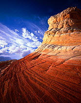 Eroded striated sandstone (petrified sand dunes), Vermilion Cliffs National Monumant, Colorado Plateau, Arizona, USA