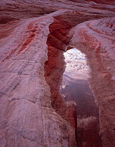 Clouds reflected in pool of rain water in petrified sand dune formation, Paria Canyon-Vermilion Cliffs Wilderness, Colorado Palteasu, Arizona, USA