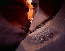 Tumbleweed, dried and sun bleached, in the water sculpted Antelope Canyon, Navajo Indian Reservation, Arizona, USA