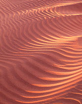 Sand dunes with patterns caused by wind, Mosquito Flats, Death Valley National Park, California, USA
