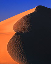 Sand dunes in evening light, East Mojave Desert, California, USA