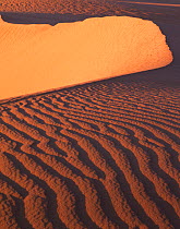 Sand dune ridge, with waves in sand, East Mojave Desert, California, USA