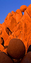 Weathered and eroded monzogranite boulders balanced precariously, sunset, Joshua Tree National Park, Mojave Desert, California, USA