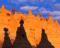 Tent rocks in the Peralta Canyon, New Mexico, USA. Rocks are conical formations of eroded volcanic tuff and pumice supporting 'cap rocks'.