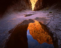 Sunlit cliffs of Closed Canyon reflected in a seasonal rainwater pool in Santana tuff rock formation, Big Bend Ranch State Park, Texas, USA