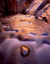 Virgin river flowing through Zion Canyon Narrows, with reflections of afternoon sun, Zion National Park, Utah, USA