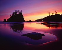 Silhouette of sea stacks at sunset with patterns in the sand left by the receding tide, Second Beach, Olympic Peninsula, Olympic National Park, Washington, USA