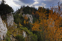 Rocky limestone area "La Zaplaz", NP Piatra Craiului, Transylvania, Southern Carpathian Mountains, Romania, October 2008