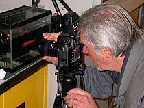 Photographer and cameraman David Shale photographing deep sea animals in tanks at sea on Henry Bigelow cruise to Mid Atlantic Ridge