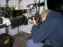 Photographer and cameraman David Shale photographing deep sea animal, "Dumbo" (Grimpoteuthis sp) in tanks at sea on Henry Bigelow cruise to Mid Atlantic Ridge, 2004